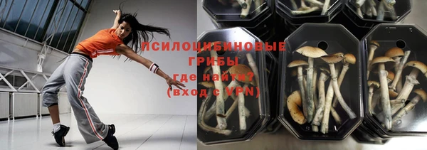 ГАЛЛЮЦИНОГЕННЫЕ ГРИБЫ Балахна